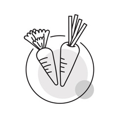 Fototapeta premium Carrot