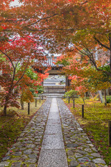 Fototapeta na wymiar 京都　鹿王院の紅葉 