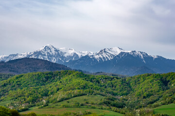 Beautiful view of idyllic alpine mountain scenery in springtime with blooming meadows, hills with forests that are starting to turn green and snowcapped Bucegi (Brasov, Romania) mountain peaks