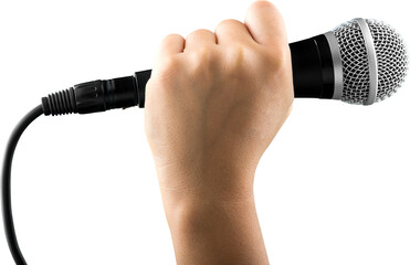 Hand holding a microphone