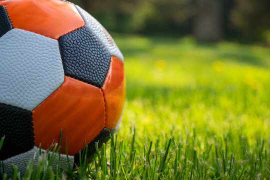 Small Soccer Ball On Grass