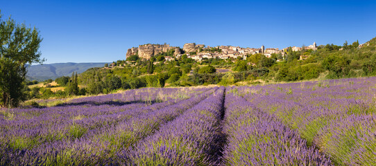 The Provence hilltop perched village of Saignon with lavender field in summer. Luberon Regional Park, Vaucluse, France - obrazy, fototapety, plakaty