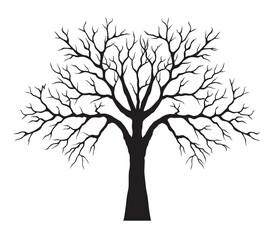 Obraz premium Old black Tree. Vectro Illustration. Outline graphic and isolated.