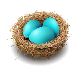 Naklejka na ściany i meble Easter blue eggs in a nest.