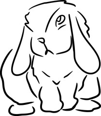 Vector drawing of fluffy rabbit, bunny. Contour, silhouette, black and white, cartoon style, hand drawn, doodle, flat. Cute, ears, Easter bunny., animal, holiday, spring, isolated, pet, cheerful.