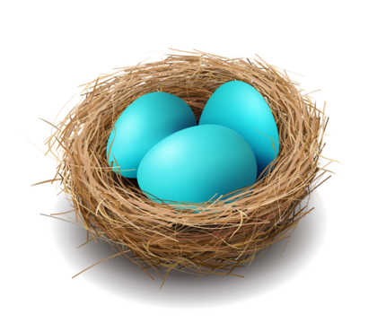 Easter blue eggs in a nest.