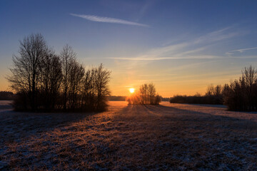 Colorful sunrise with golden sunshine over bushes and trees on a meadow landscape in Siebenbrunn near Augsburg