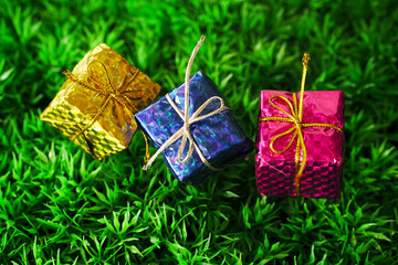 christmas gift boxes on green grass