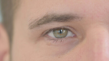 Fototapeta premium Close Up of One Male Eye