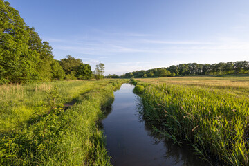 landscape with brook and sky