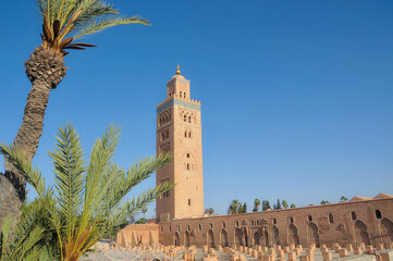 Fototapeta premium Palmeras y minarete de la mezquita Kotubía, en la ciudad de Marrakech, Marruecos