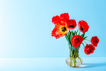 Big flowers bouquet of red tulips in vintage glass vase on blue color background. Copy space. Business card. Invitation postcard. Place for greeting text. International holiday. Banner. Hello spring