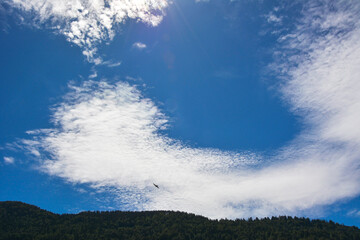 A bird flies over the trees above the hill in a bright blue sky with white clouds