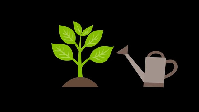 Animated plant irrigated with water and sprouting leaves in alpha channel
