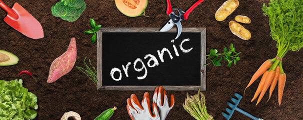 organic gardening concept - banner with vegetables, gardening tools and blackboard on brown soil