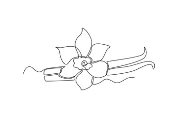 Continuous one line drawing vanilla pods. Herb concept. Single line draw design vector graphic illustration.