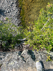 Standing at the Edge of a Tall Cliff Overlooking Lake Superior