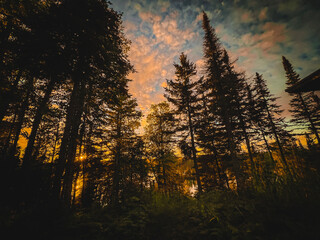 Sunset in the Forest Overlooking Lake Superior