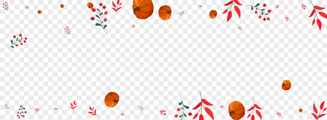 Orange Pumpkin Background Transparent Vector. Gold Wallpaper Border. Green Vegetable Decoration Banner. Rowan Picking. Collection Set.