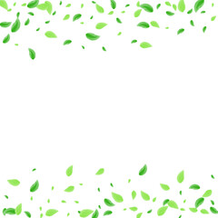 Greenish Plant Background White Vector. Leaves Wind Design. Bio Frame. Green Woods Texture. Foliage Sprout.