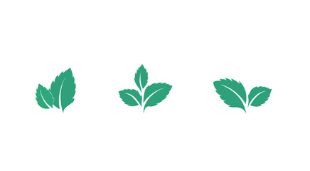 Mint. Icon set. leaves on white background. Vector illustration EPS
