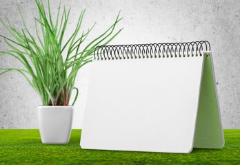 Blank office desk calendar or notebook and green plant