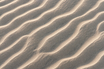 Fototapeta na wymiar dunas de areia dos lençóis maranhenses com muita textura 