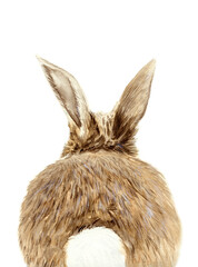 Watercolor illustration of a funny fluffy gray rabbit or hare with long ears sitting with its back with a white tail towards the viewer
