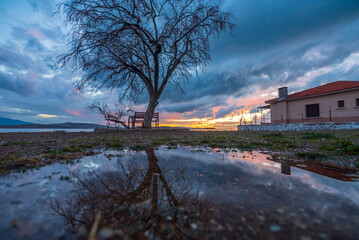 Reflection of colorful sunset with trees and clouds on sky