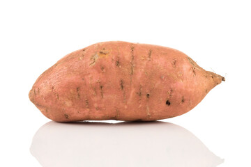 Sweet potato on the white background