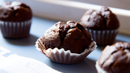 Chocolate muffins with chocolate chips inside.
