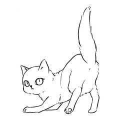 The cat bends its front legs and turns to look behind. pencil drawings for coloring