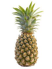 Ripe pineapples , Healthy fruit.