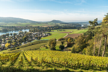 Fototapeta na wymiar View from Hohenklingen Castle to vineyards and the Rhine, Stein am Rhein, Canton Schaffhausen, Switzerland