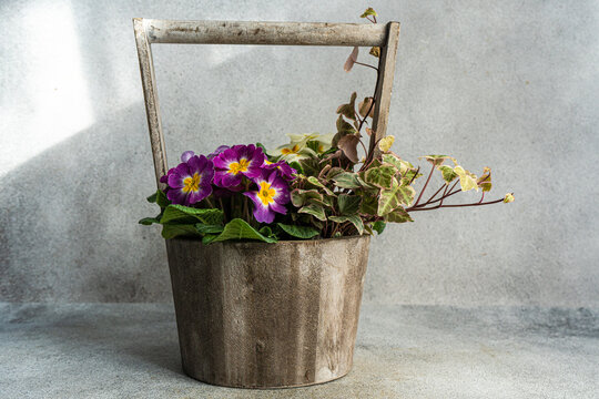 Spring floral composition with bright flowers