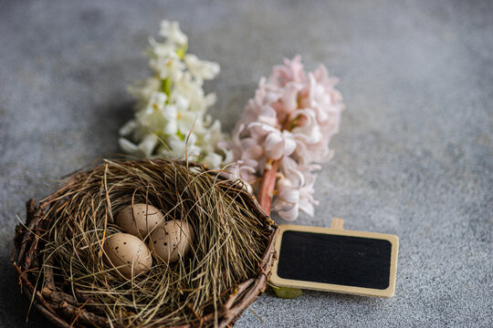 Nest with eggs and hyacinth flowers