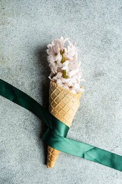 Cone waffle full of hyacinth