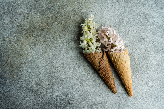 Cone waffle full of hyacinth