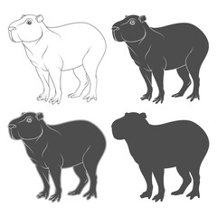 Set of black and white illustration with capybara. Isolated vector object on white background.