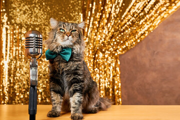 Charming curious cat In a green bow tie as it leans in to inspect a vintage microphone. golden light adds a touch of nostalgia to the scene. Perfect for content creators, musicians
