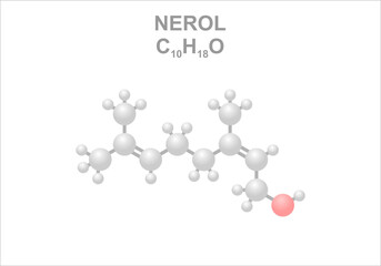 Simplified structural scheme of the nerol molecule.