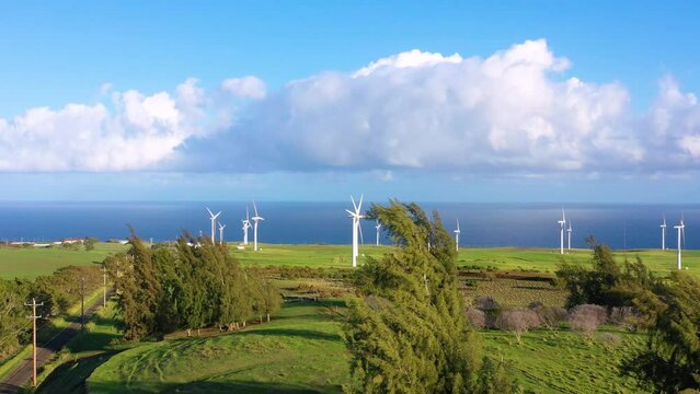 Aerial view of the Hawi Wind Farm, Hawi, North Kohala, Hawaii Island, Hawaii, United States.