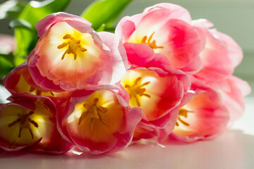 Obraz na płótnie Canvas Bouquet of pink tulips, top view, spring bouquet.