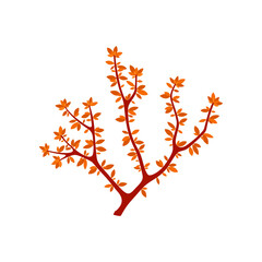 Seaweed icon isolated underwater polyp in deep sea waters. Vector sea coral anemone plant icon. Gorgonian aquatic plant, aquarium organism