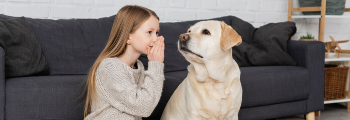 preteen girl covering mouth with hand while telling secret to labrador dog at home, banner.