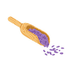 Lavender flowers fragrant ingredients in wooden spoon. Vector aromatic flower buds for aromatherapy, perfumery and organic cosmetics, perfume emblem