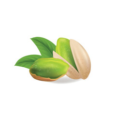 Pistachio nuts with leaves. illustration realistic pistachio kernels