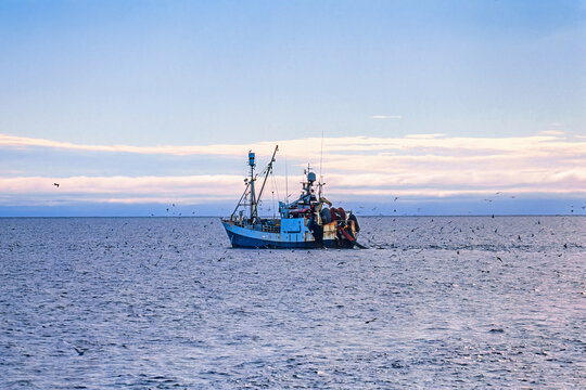 Fishing boat trawling at sea