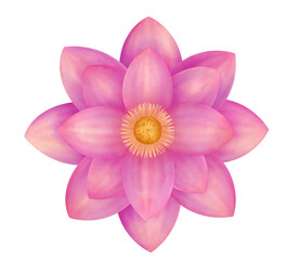 Lotus flower watercolor  illustration 