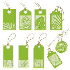 Nature Ecology Vector tags with leaf vein decoration